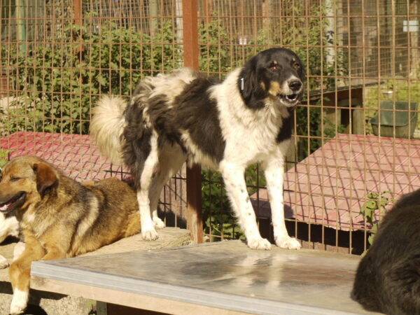 NYUKI - vermisst 12/22 – Bild 5