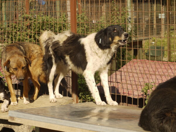 NYUKI - vermisst 12/22 – Bild 3
