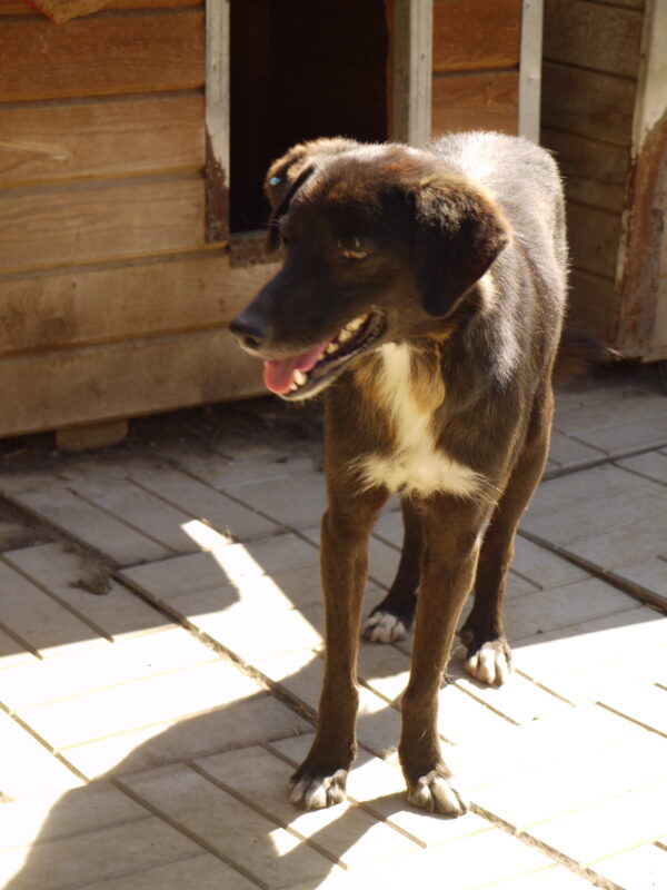 FLINCH – Bild 9