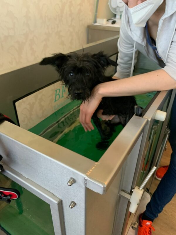 TIARA - Gnadenplatzhund seit 19.02.2021 – Bild 17