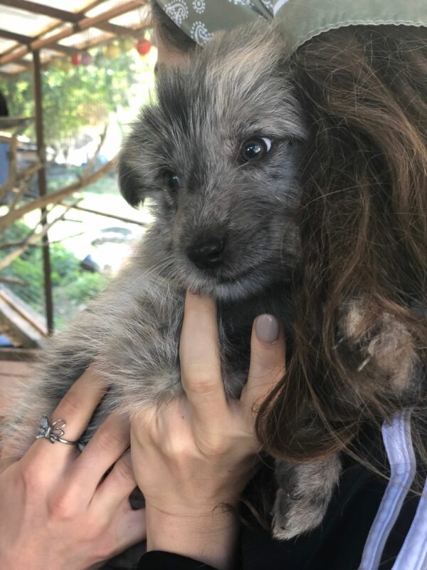 TIKO – RBB 10/2021 – Bild 3