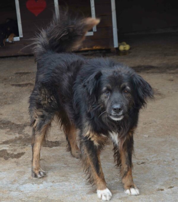 HADES - RBB 21.07.2022 – Bild 3