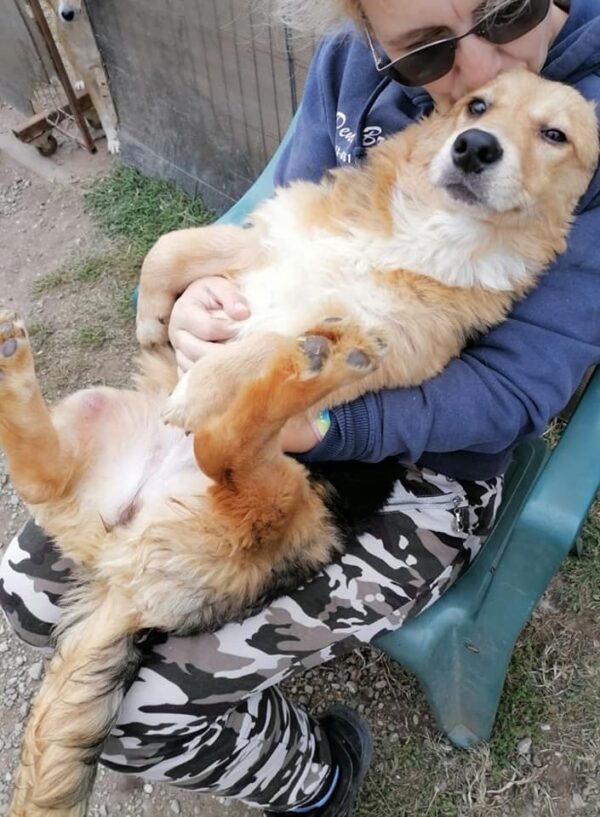EILA - reserviert Betty - vermittelt – Bild 2