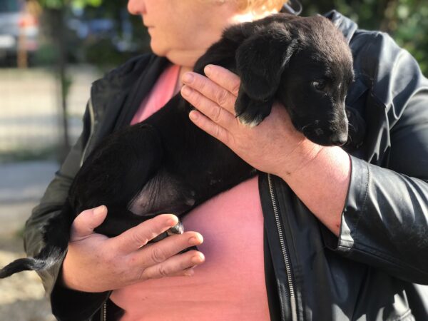 ANELA - RBB 09/21 – Bild 4