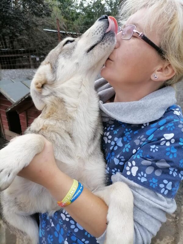 LEIA - reserviert Betty - vermittelt – Bild 2