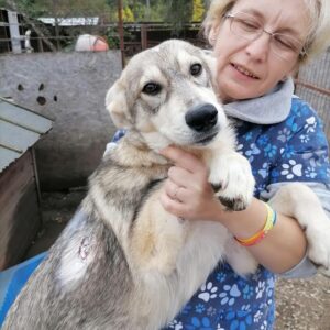LEIA - reserviert Betty - vermittelt