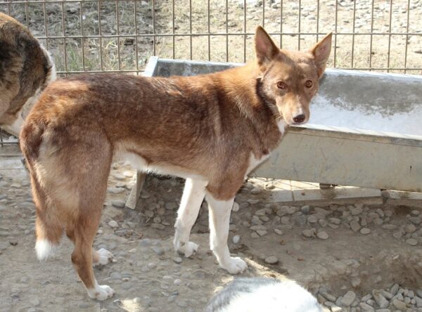 URSA (♀) – Bild 12