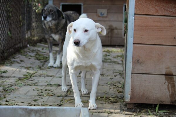 SPIKEY - RBB 06/24 – Bild 3