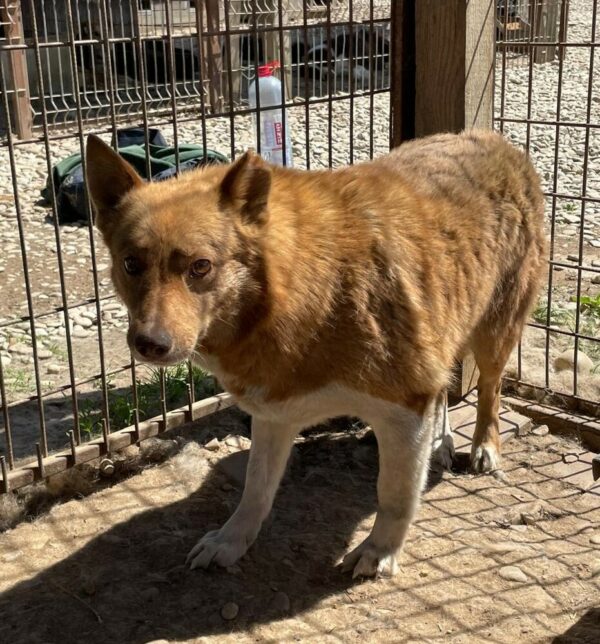 URSA (♀) – Bild 9