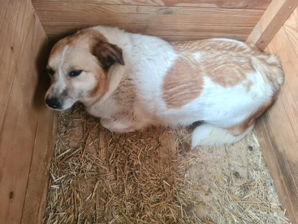 LIESEL – Bild 2