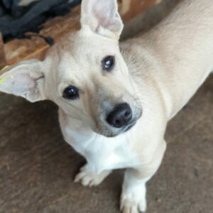 DAVE - reserviert Betty - vermittelt