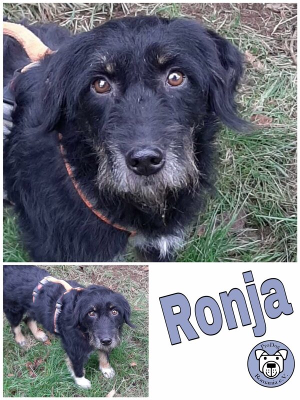 Ronja *vermittelt*