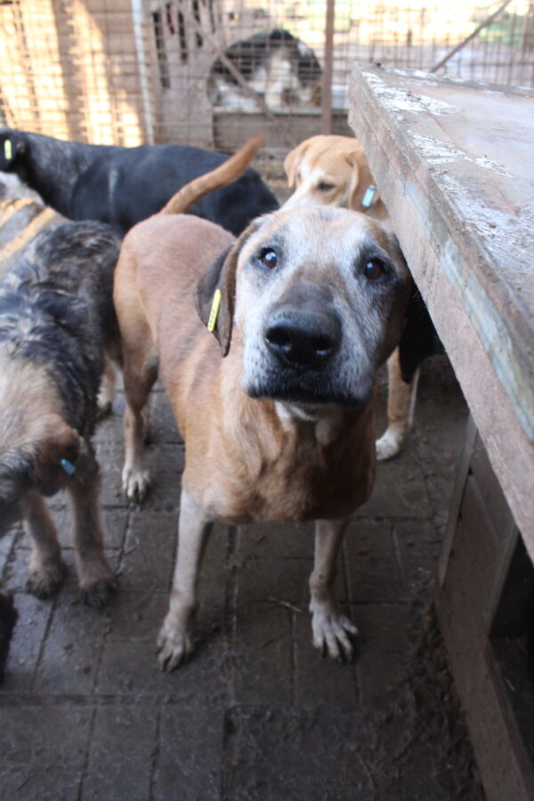 GUSTAV - RBB 12/2021 – Bild 3