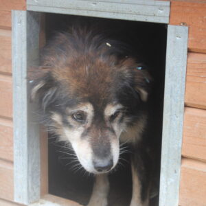 CAMERON - RBB 18.11.2021