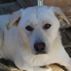 LANCIANO - reserviert TST Rösrath vermittelt