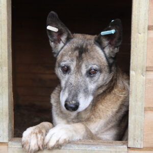 TERRA - reserviert Manuela vermittelt