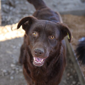 ELEN - vermisst 02/2022