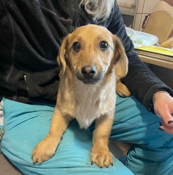 CAMILO - reserviert TH Am See vermittelt