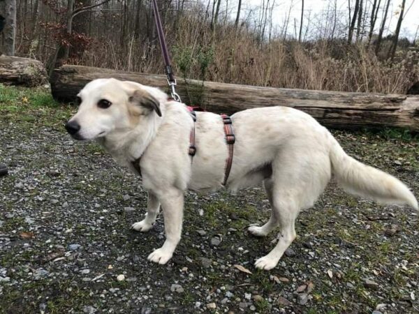 Nimaja in 44369 Dortmund – Bild 3