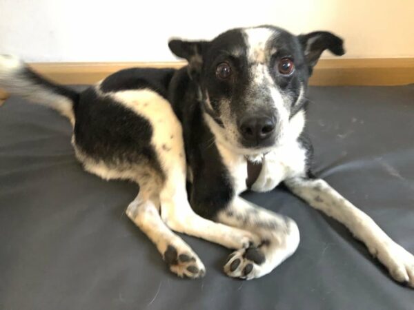 Josua in 96052 Bamberg *vermittelt* – Bild 6