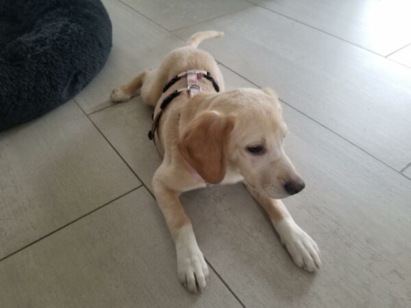 Ceana in 97531 Obertheres – Bild 3