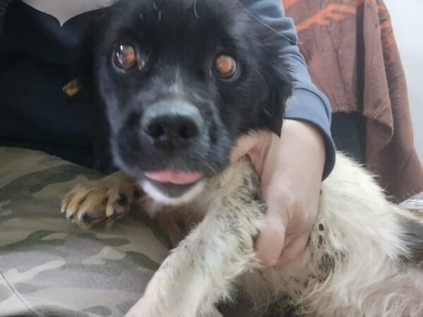 Lotus - RBB 31.12.2021 – Bild 3