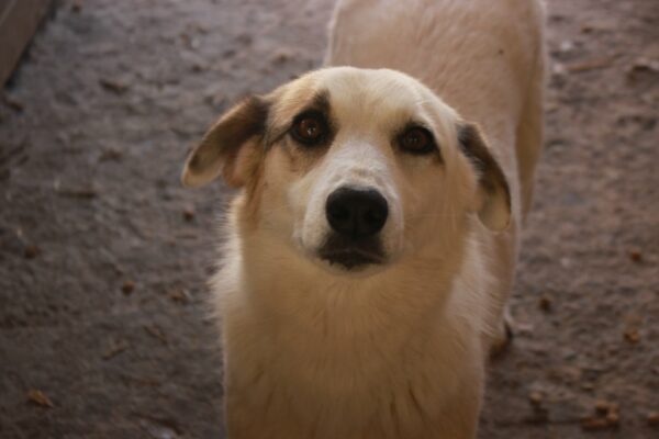 BATIDA (♀) – Bild 9
