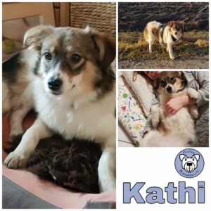 Kathi in 82223 Eichenau *vermittelt*
