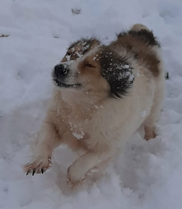 Kalea *vermittelt* – Bild 3
