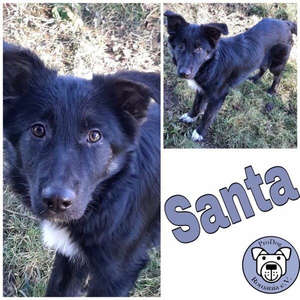 Santa *vermittelt*