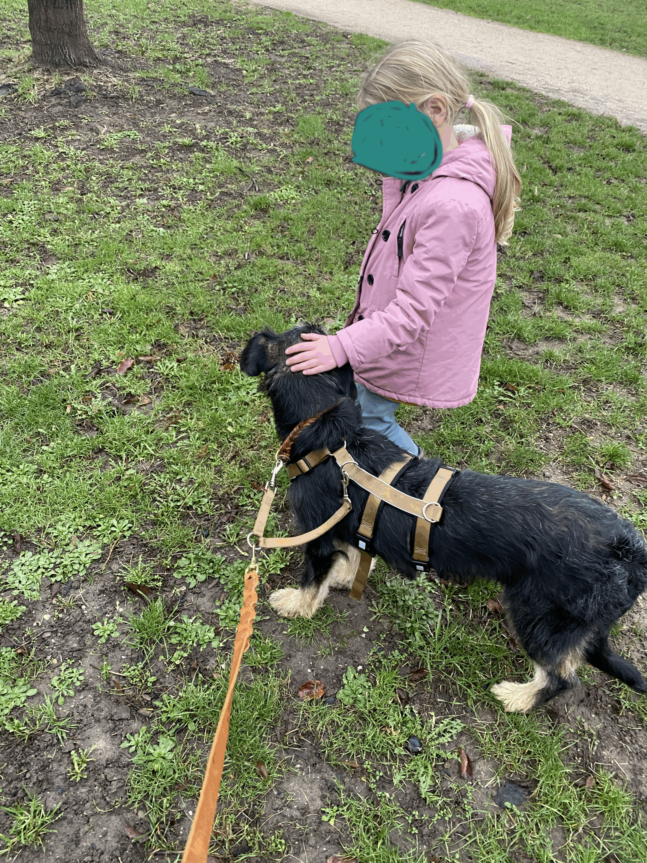 Peter in 53113 Bonn – Bild 15