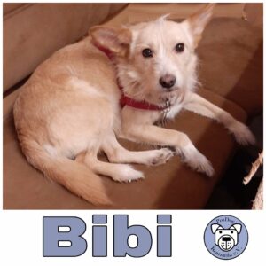 Bibi *vermittelt*