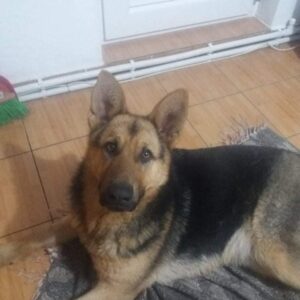 MAKANA - RBB 02/2022