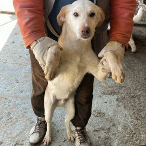 BERTI - reserviert Betty - vermittelt