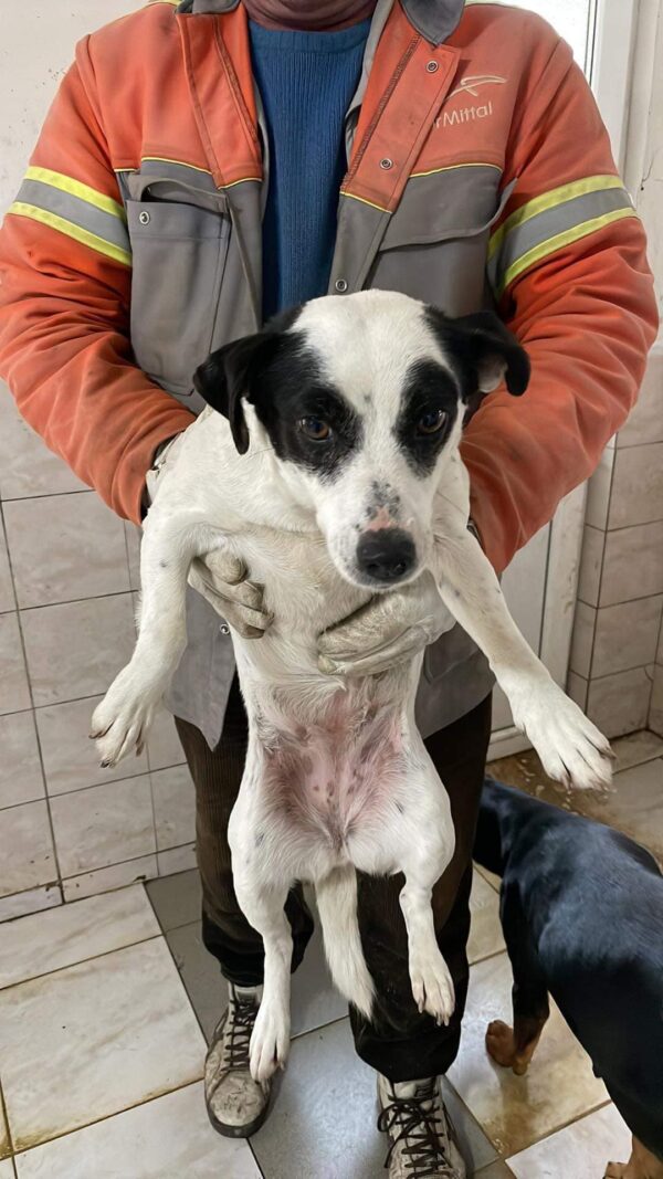 TUFFY - reserviert TH Koblenz vermittelt – Bild 2