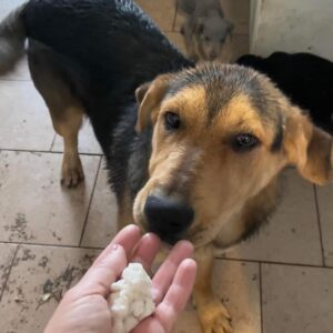 SKERO (= JESCO)