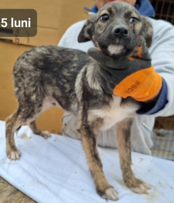 BOB - vor Ort vermittelt – Bild 4