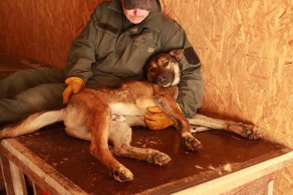JAKE - vermittelt NH – Bild 5