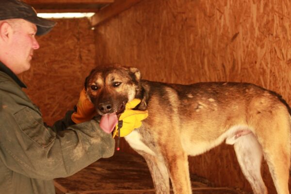 JAKE - vermittelt NH – Bild 4