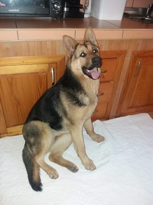 MAKANA - RBB 02/2022 – Bild 3