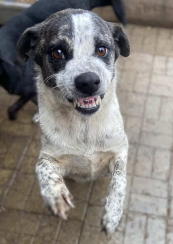 DOTTY - ausgereist zum TH Iserlohn – Bild 4