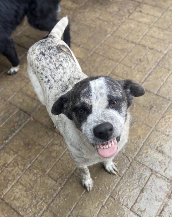 DOTTY - ausgereist zum TH Iserlohn – Bild 5