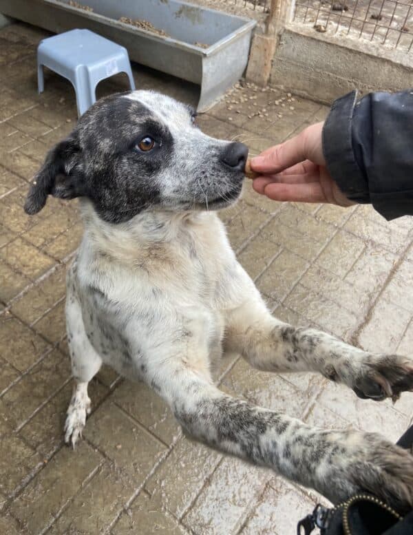 DOTTY - ausgereist zum TH Iserlohn – Bild 8