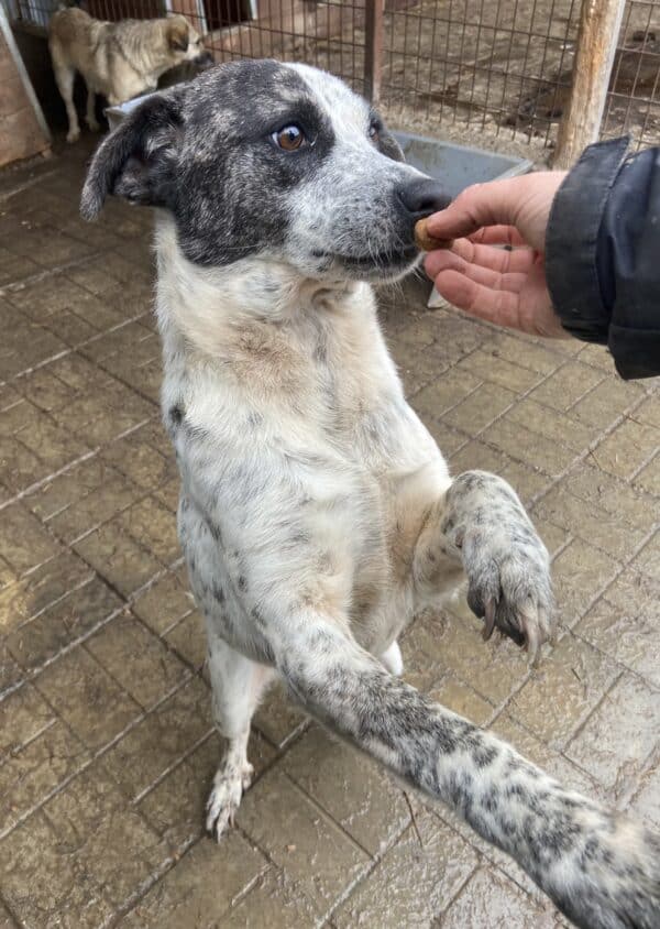 DOTTY - ausgereist zum TH Iserlohn – Bild 6