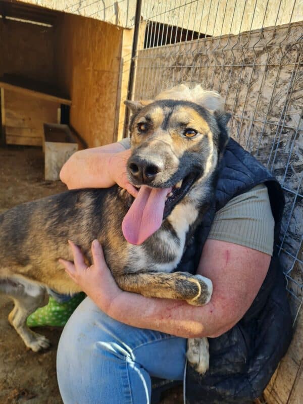 JAKE - vermittelt NH – Bild 9