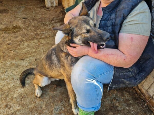 JAKE - vermittelt NH – Bild 8