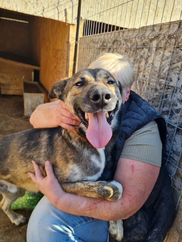 JAKE - vermittelt NH – Bild 10