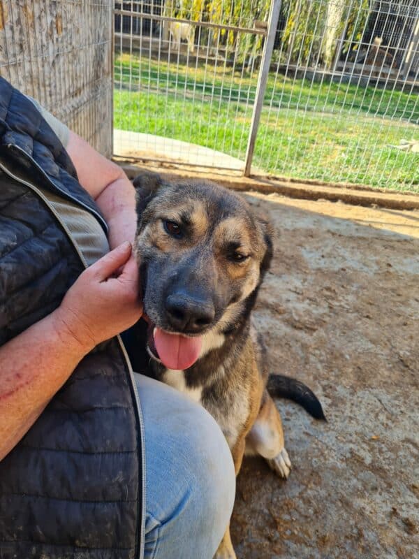 JAKE - vermittelt NH – Bild 7