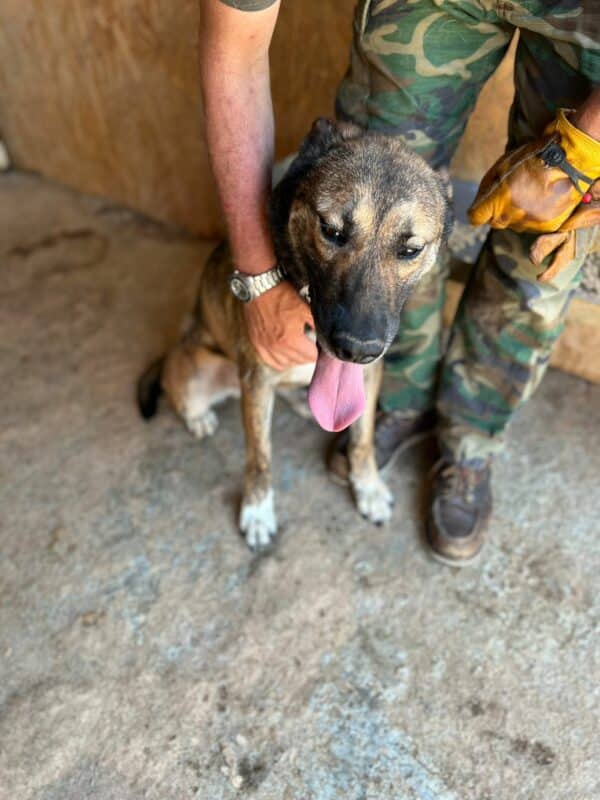 JAKE - vermittelt NH – Bild 12