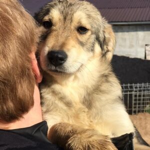 WILLOW - reserviert Alexandra vermittelt